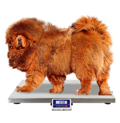 ประเทศจีน 75 100 200 Kg เครื่องชั่งน้ำหนักสุนัข / เครื่องชั่งน้ำหนักสัตว์เลี้ยงพร้อมแผ่นกันลื่น ผู้ผลิต